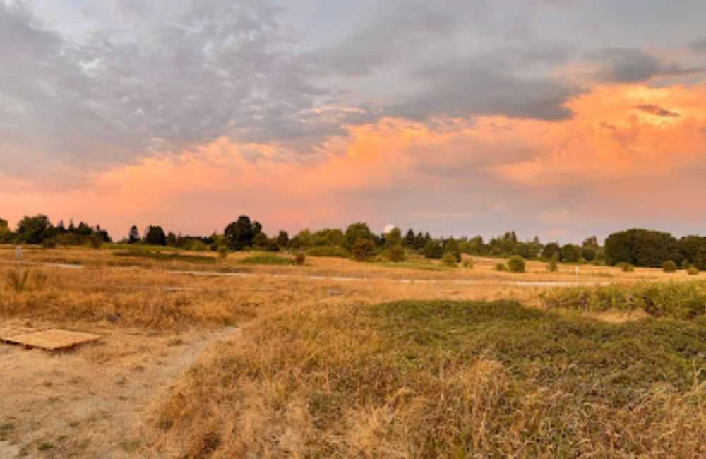 Discovery Park