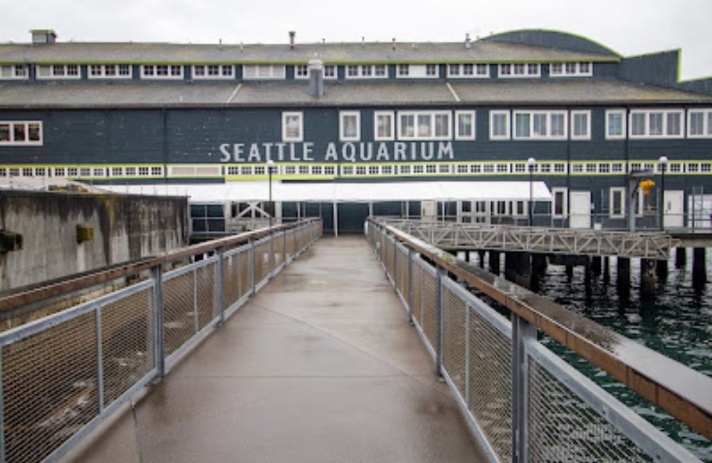 Seattle Aquarium, Seattle WA