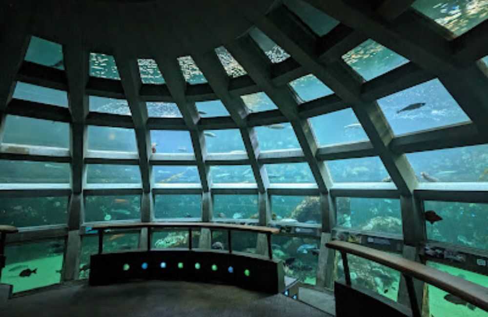 Seattle Aquarium