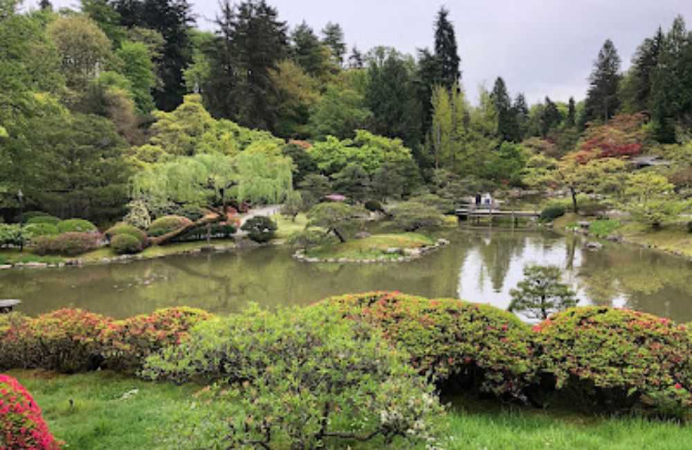 Seattle Japanese Garden, Seattle WA