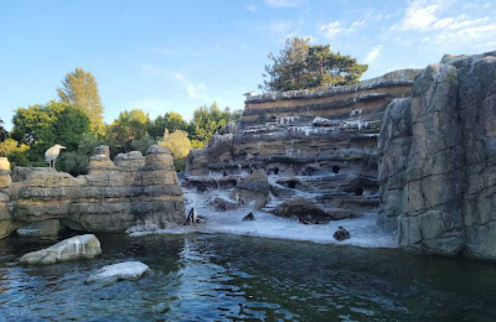 Woodland Park Zoo